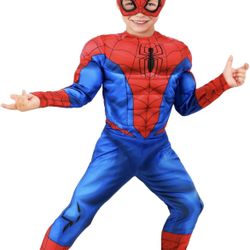 Disfras Spiderman 