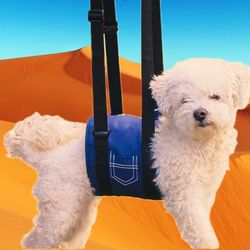Support Sling Dog Harness for Full Body Support | Prevents Injuries | Helps with Post-Surgical Rehabilitation | Height Adjustable Handles