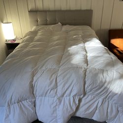 Full Sized Bed (Frame + Mattress + Headboard) - ***AVAIL UNTIL 5PM WEDS 29TH ONLY***