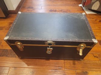 Storage Trunk 