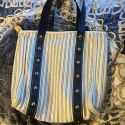 Louis Vuitton Limited Edition Antiqua Cabas MM