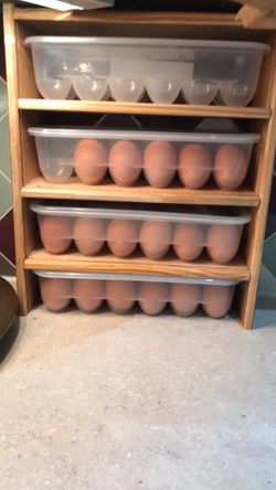 Plastic Egg Cartons