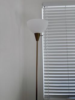 Brass Torchiere Floor Lamp