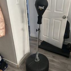 Boxing Punching Bag 