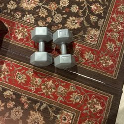 2  10lb/4.5kg Dumbbells 