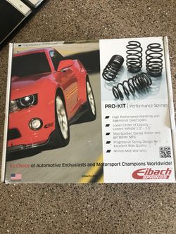 Eibach Springs
