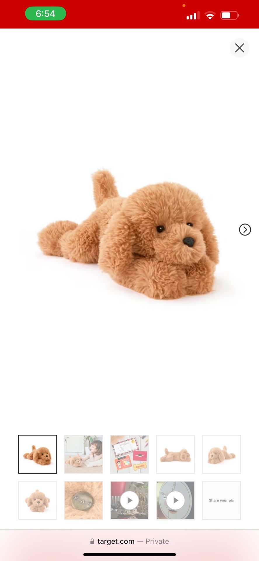 Puppy