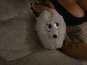 Stuffed animal