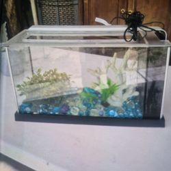Fish Tank 5 Gallon