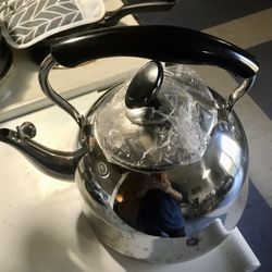 Silver 5 Liter Whistling Teapot