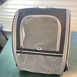 Cat Backpack 