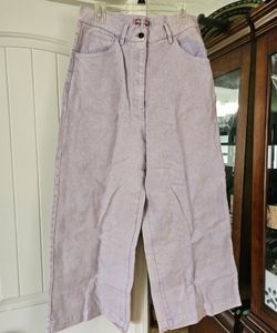 Urban Outfitters Lavender Wide-Leg Pants Size 34