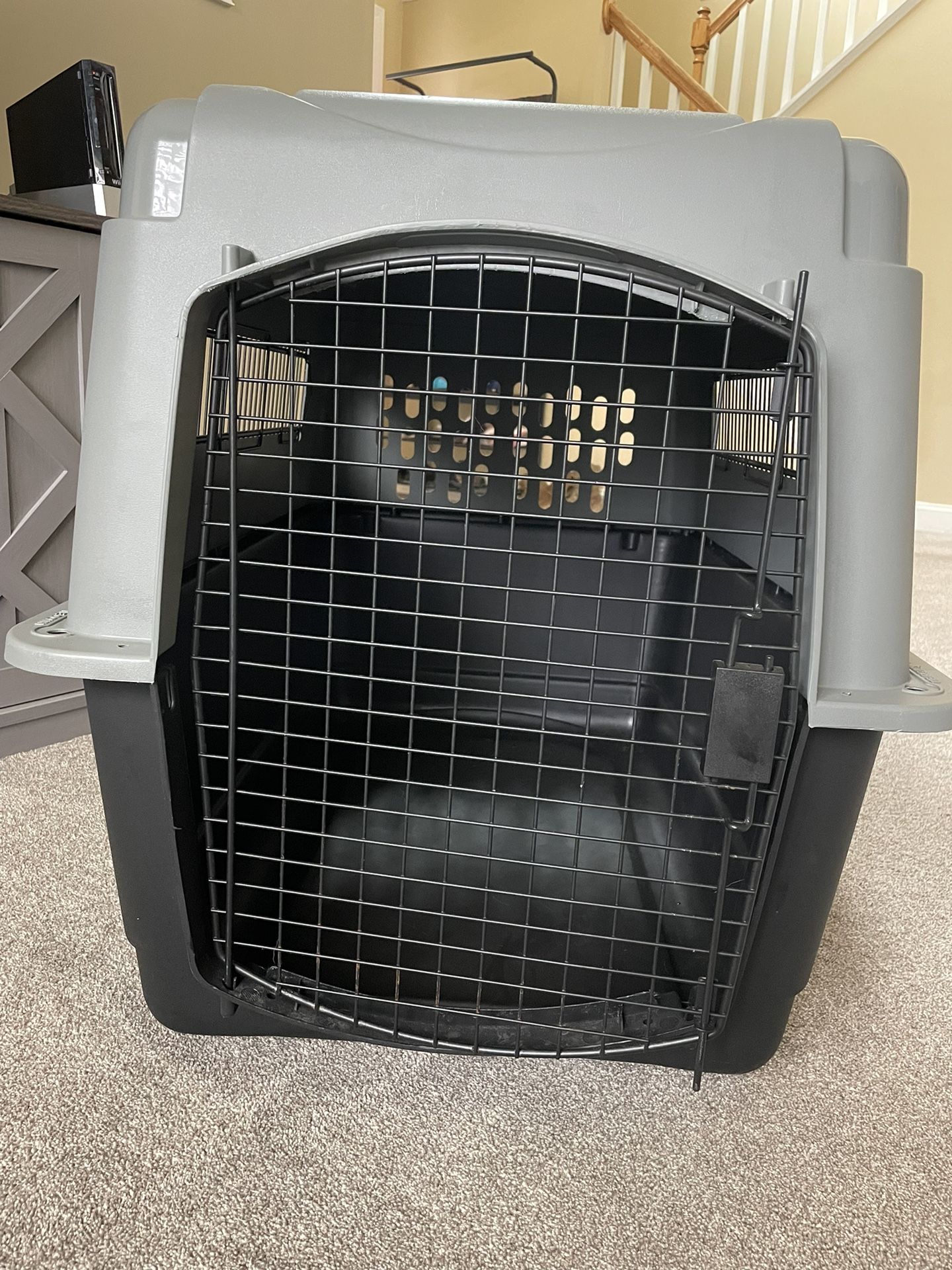 Dog Kennel