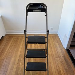 3 Step Ladder