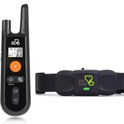 Dog Training Collar