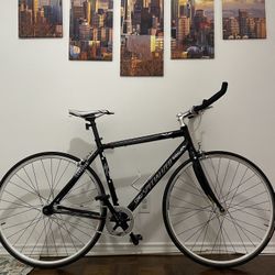 Specialized Langster | Single Speed | 54CM | Road Bike 