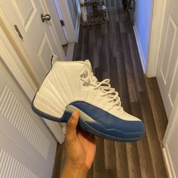 2016 Franch Blue Jordan 12