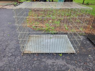 Dog Crate