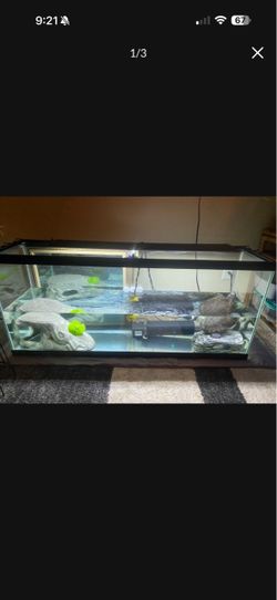 Large Glass Aquarium Tank with Lid and Filter