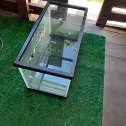 Fish Tank 
