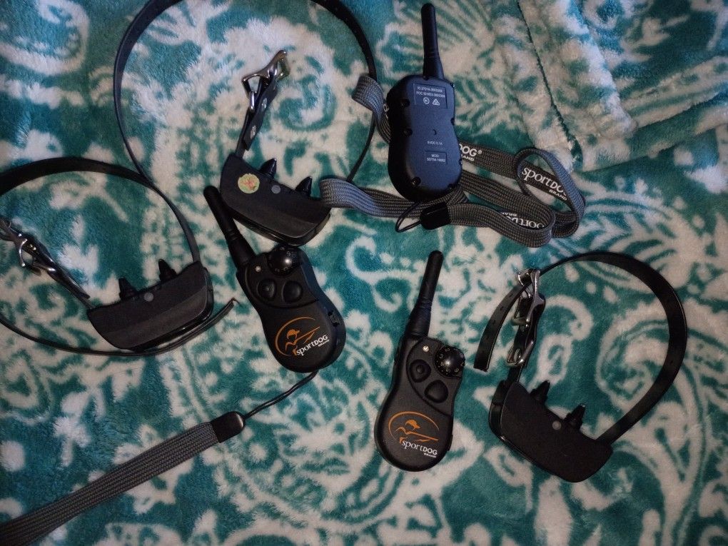 Sportdog E Collar Sdt54