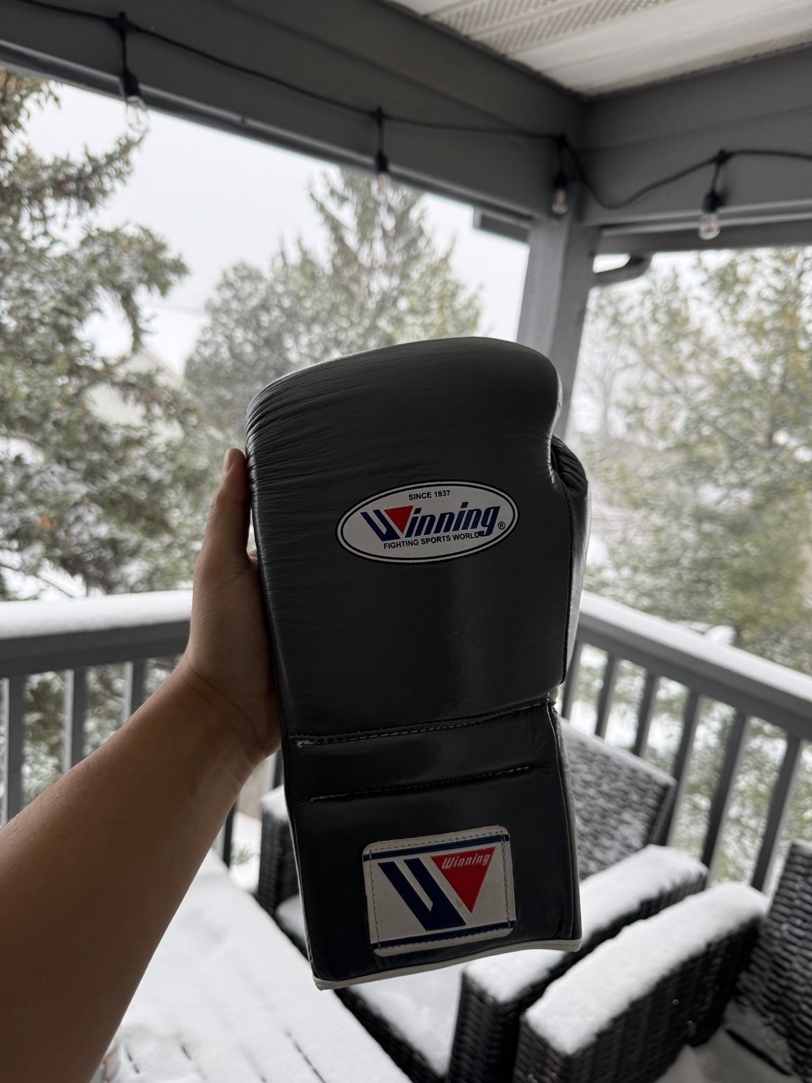 Winning Boxing Gloves