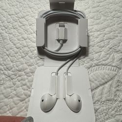 Apple Headphones 