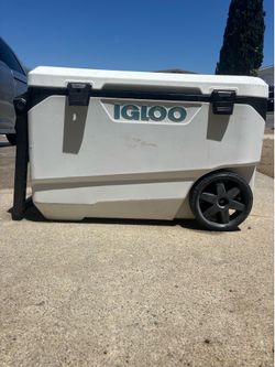 Large igloo icechest with wheels