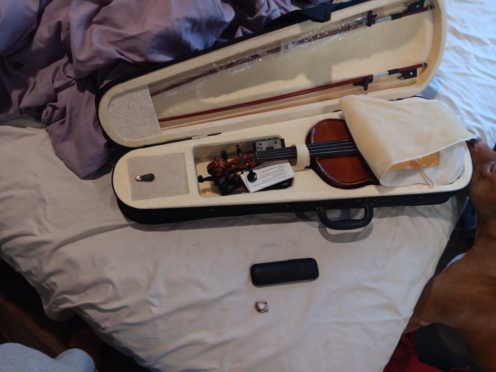 Violin Cecillio