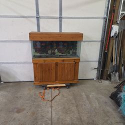 Fish tank with stand and lid