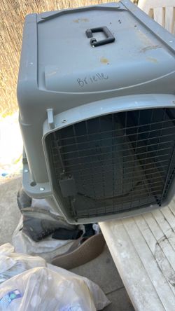 Pet cargo