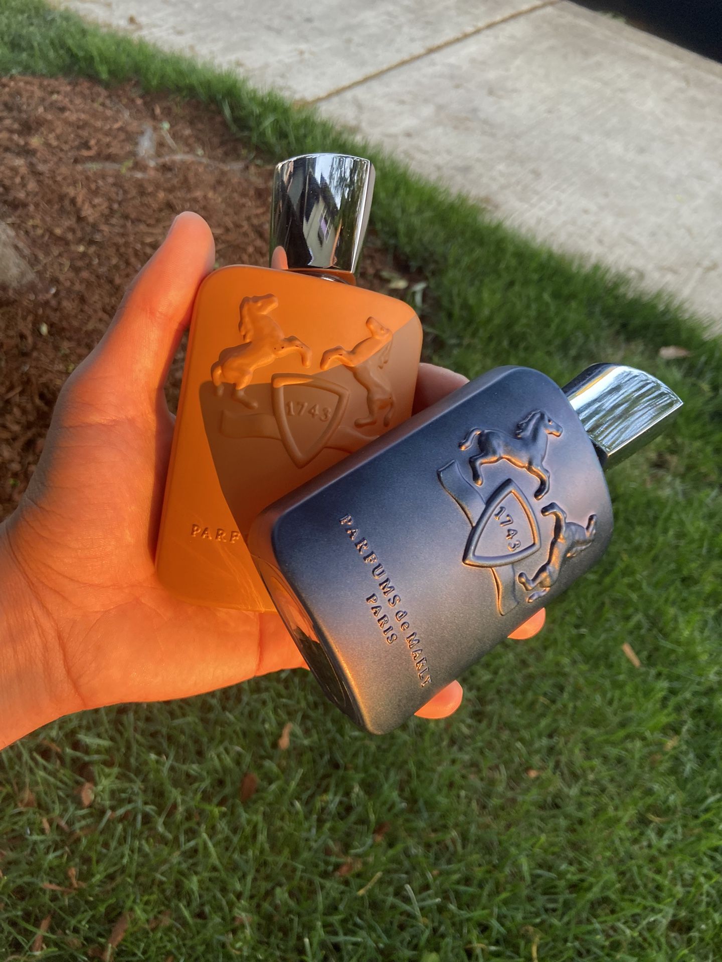 Pdm Althaïr And Layton.