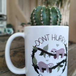  The  Easter Lily Cactus or Domino Cactus. 