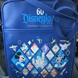 Disneyland Resort