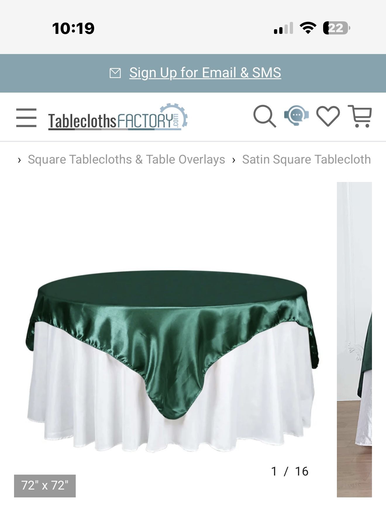 Green Satin Square Overlay