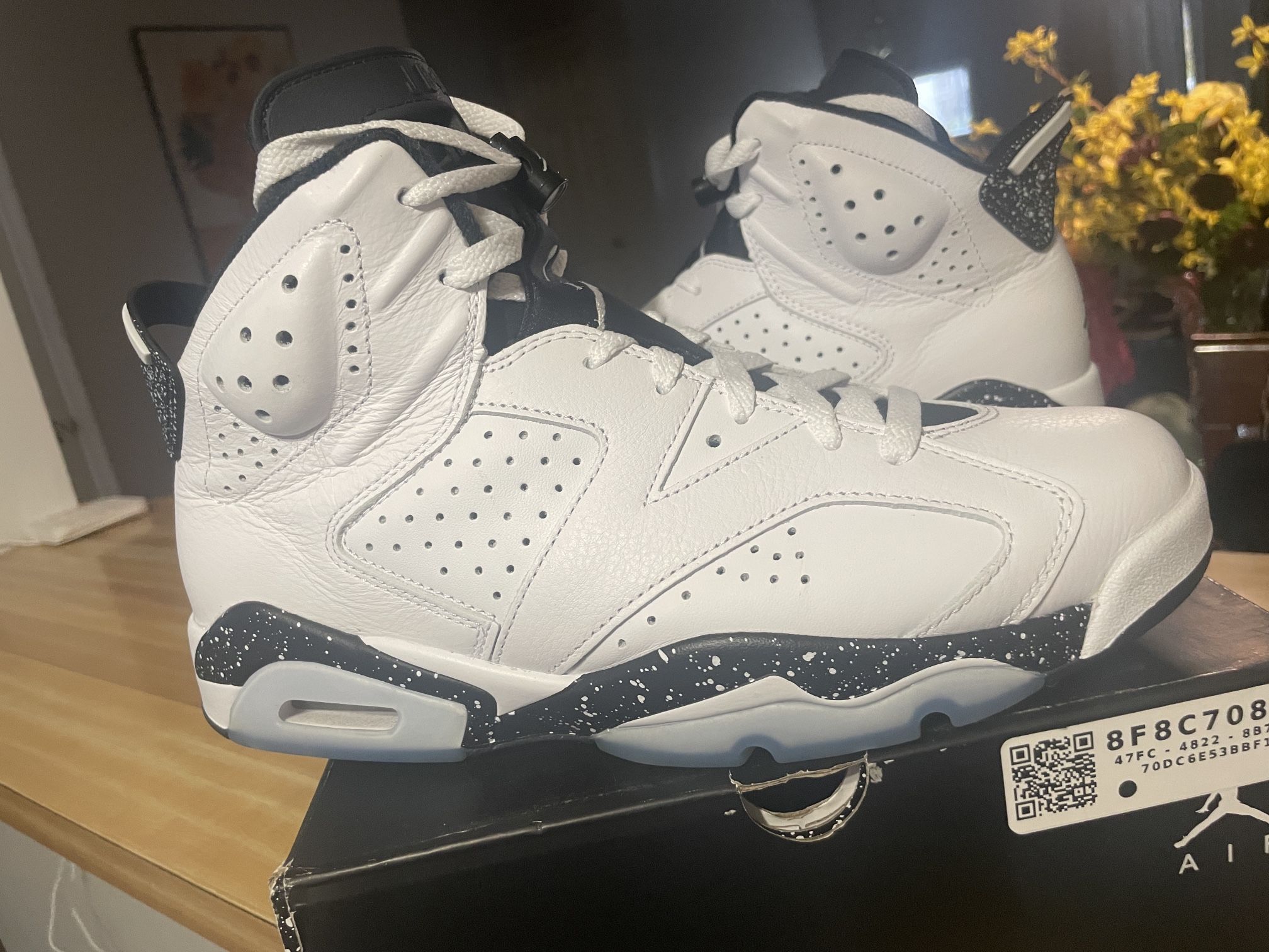 Air Jordan 6 Retro 
