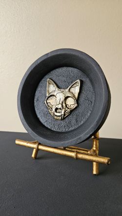 Plaster moulded cat skull in frame