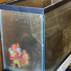 Fish tanks – 30 gallon, 10 gallon, 1 gallon,