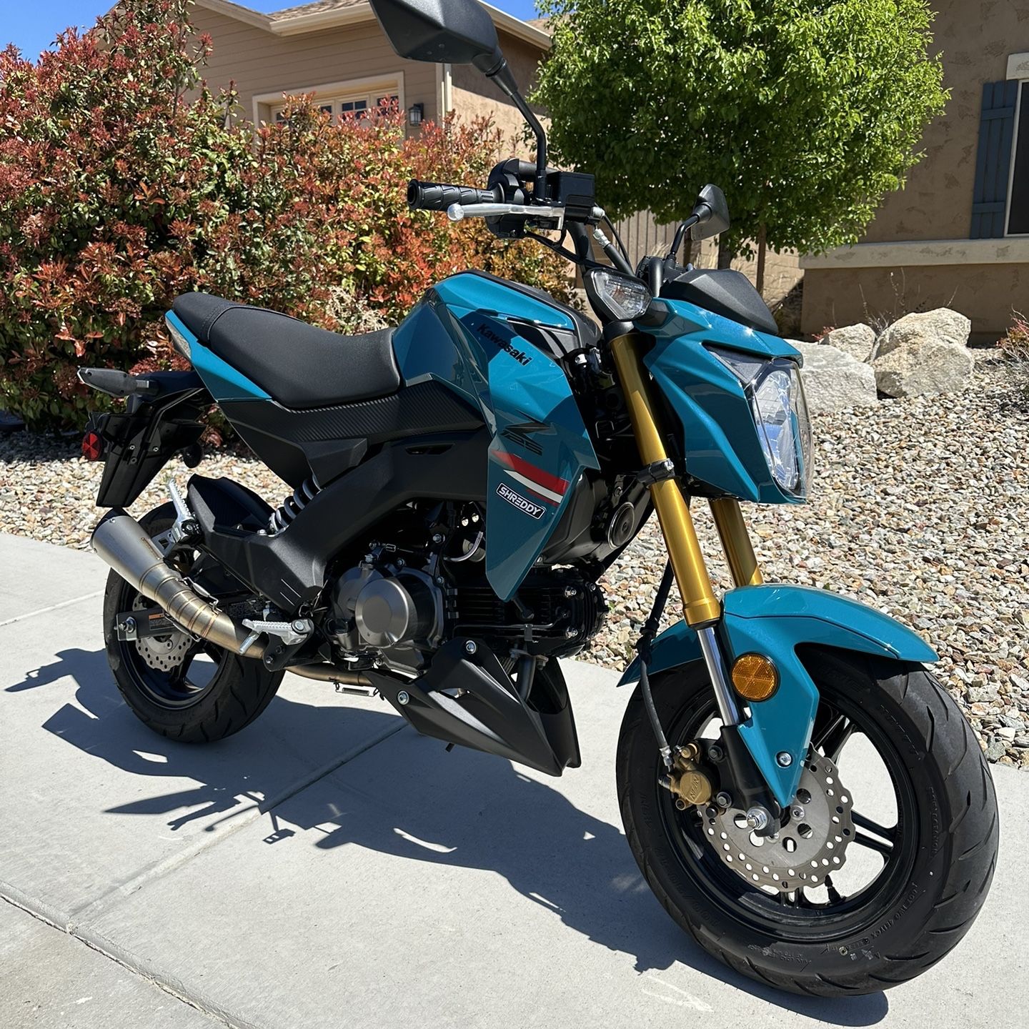 2021 Kawasaki Z125 Pro