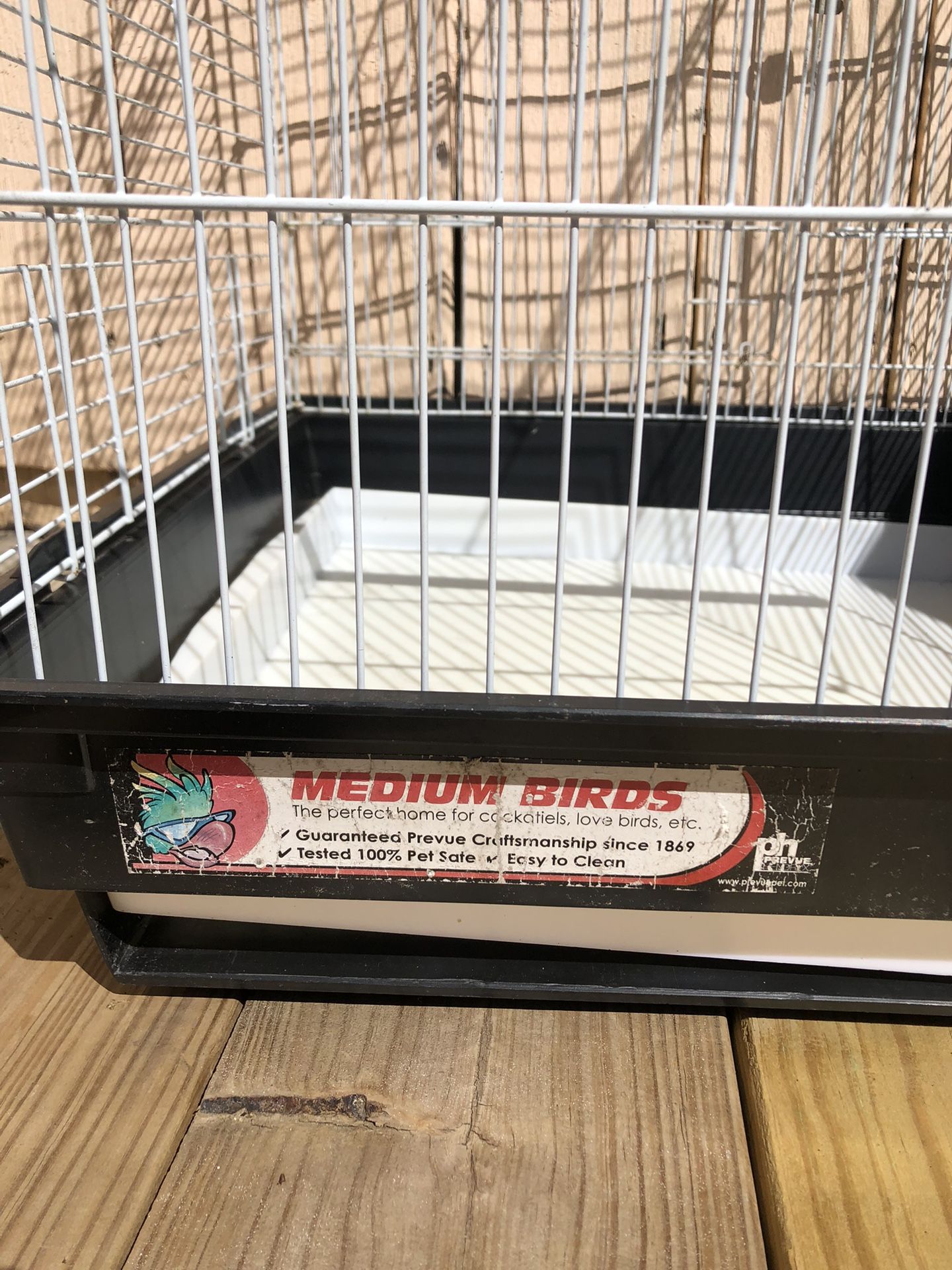 Bird 🦅 Cage
