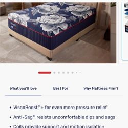 Sealy Queen Hybrid Mattress