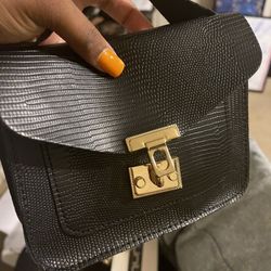Mini Black Purse 