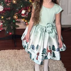 Christmas Dress like New With TAG $10