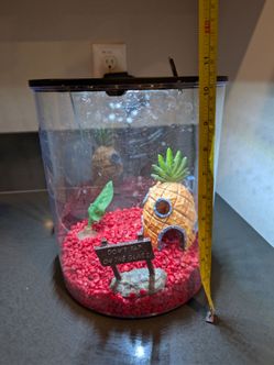 Cylindrical Aquarium Tank