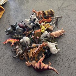 Toy animals.