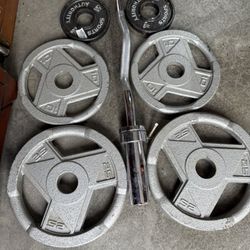 Weights Olympic Curl Bar Set