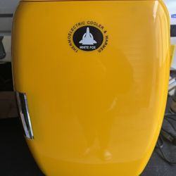 Skin Care Fridge Cooling And Heating 