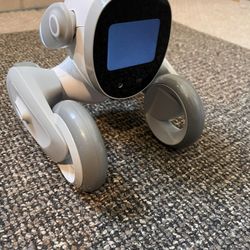 Kids Robot