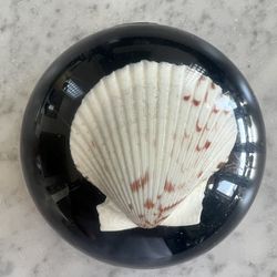 vintage, Paperweight, Shell And Lucite