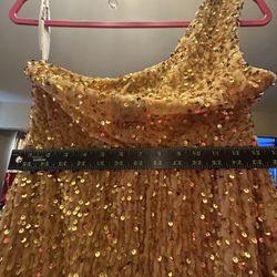 Stunning Sequin Bronzy Gold Dress With Train With Leg Slit Size 10